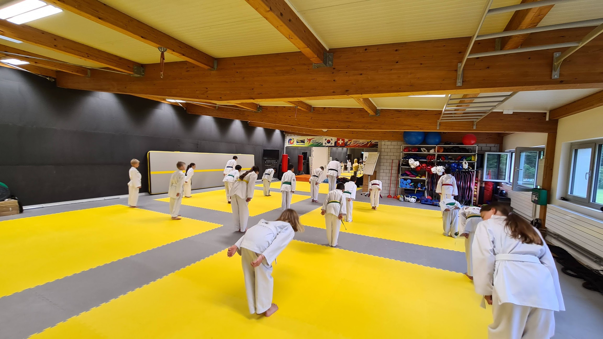 tk kim schaffhausen bg