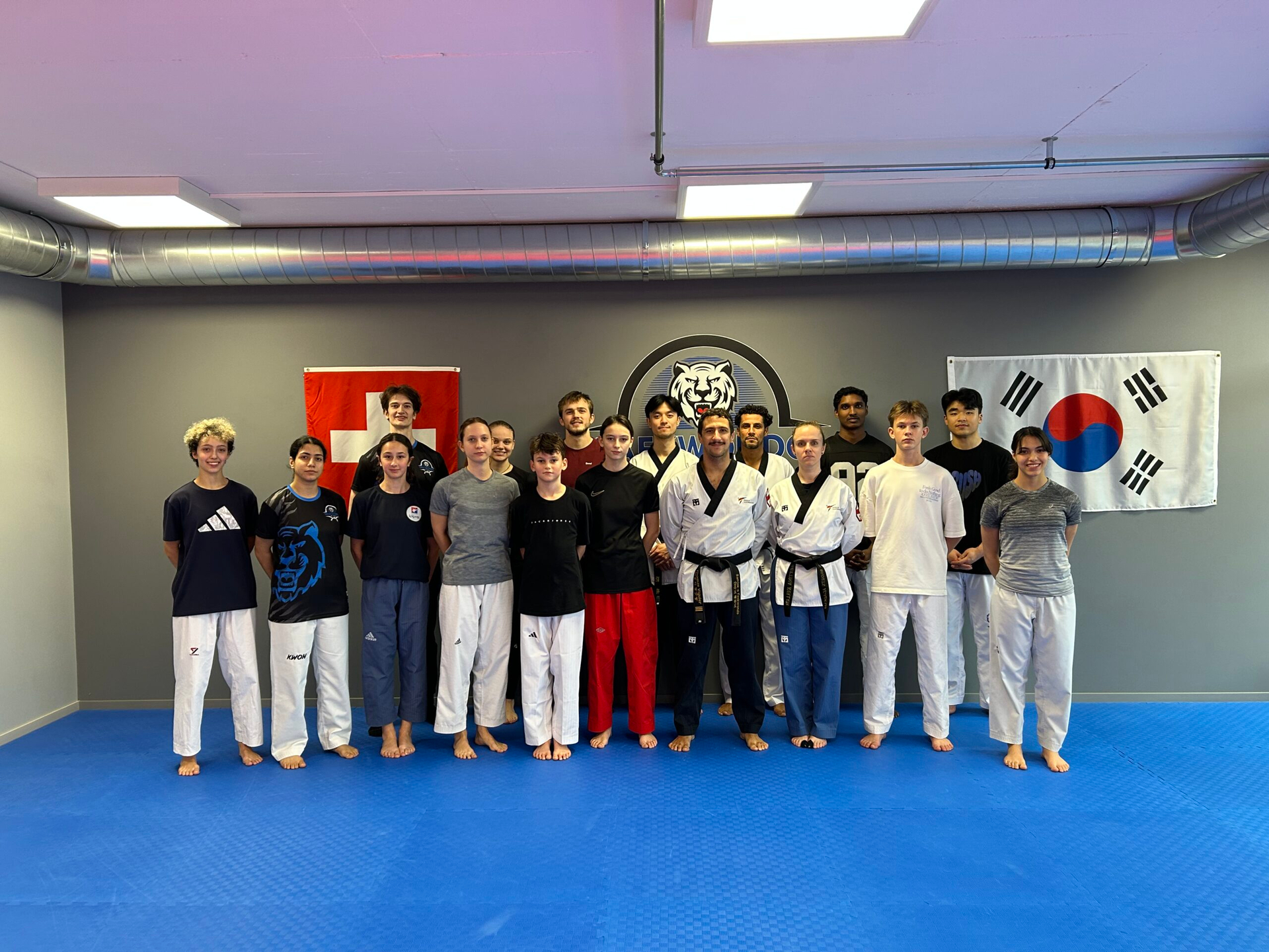 freestyle poomsae seminar series 1